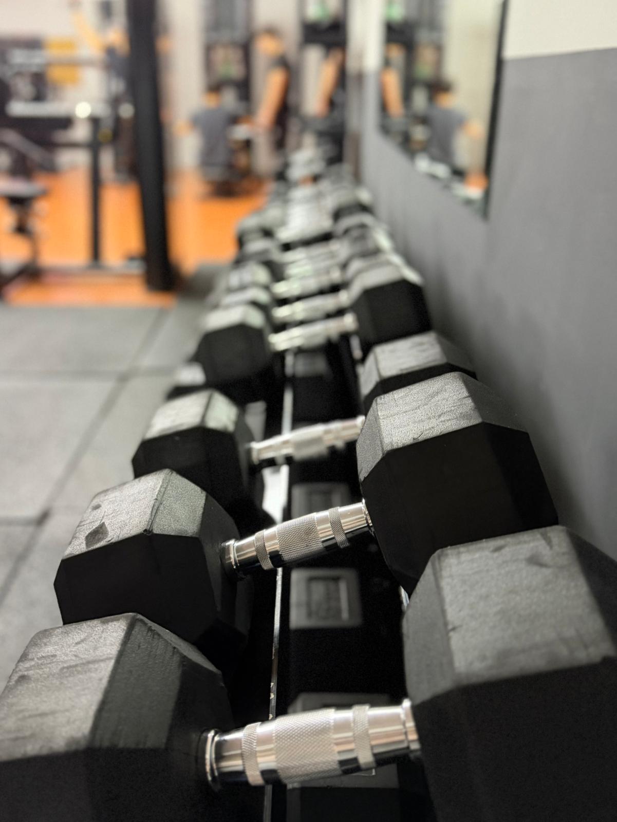 Gym Tonic real image 5